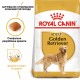Корм для дорослих собак ROYAL CANIN GOLDEN RETRIEVER ADULT 12 кг Корм для дорослих собак ROYAL CANIN GOLDEN RETRIEVER ADULT 12 кг