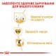 Корм для дорослих собак ROYAL CANIN GOLDEN RETRIEVER ADULT 12 кг Корм для дорослих собак ROYAL CANIN GOLDEN RETRIEVER ADULT 12 кг