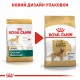 Корм для дорослих собак ROYAL CANIN GOLDEN RETRIEVER ADULT 12 кг Корм для дорослих собак ROYAL CANIN GOLDEN RETRIEVER ADULT 12 кг