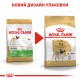 Корм для дорослих собак ROYAL CANIN PUG ADULT 3 кг