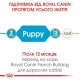 Корм для цуценят ROYAL CANIN FRENCH BULLDOG PUPPY 1 кг