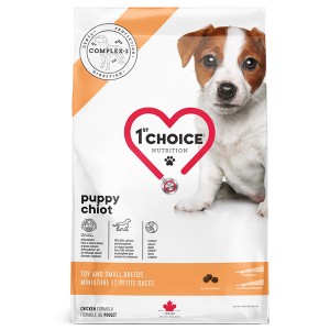 1st Choice Puppy Toy and Small Chicken сухий корм для цуценят міні та малих порід з куркою 2 кг 1st Choice Puppy Toy and Small Chicken сухий корм для цуценят міні та малих порід з куркою 2 кг