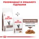 Корм для дорослих котів ROYAL CANIN GASTRO INTESTINAL MODERATE CALORIE CAT 2  кг