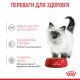 Вологий корм для кошенят ROYAL CANIN KITTEN IN GRAVY 0.085 кг Вологий корм для кошенят ROYAL CANIN KITTEN IN GRAVY 0.085 кг