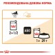 Вологий корм для дорослих котів ROYAL CANIN INTENSE BEAUTY IN GRAVY 0.085 кг
