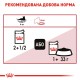 Вологий корм для дорослих котів ROYAL CANIN INSTINCTIVE IN JELLY 0.085 кг Вологий корм для дорослих котів ROYAL CANIN INSTINCTIVE IN JELLY 0.085 кг