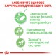 Вологий корм для дорослих  котів ROYAL CANIN DIGEST SENSITIVE  0.085 кг