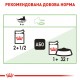 Вологий корм для дорослих  котів ROYAL CANIN DIGEST SENSITIVE  0.085 кг