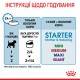 Вологий корм для новонароджених собак ROYAL CANIN STARTER MOUSE 0.195 кг