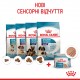 Вологий корм для новонароджених собак ROYAL CANIN STARTER MOUSE 0.195 кг