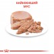 Вологий корм для новонароджених кошенят ROYAL CANIN MOTHER & BABYCAT Cans 0.195 кг