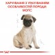 Корм для цуценят ROYAL CANIN PUG PUPPY 1.5 кг