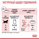 Вологий корм для кошенят ROYAL CANIN KITTEN IN JELLY 0.085 кг Вологий корм для кошенят ROYAL CANIN KITTEN IN JELLY 0.085 кг