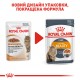 Вологий корм для дорослих  котів ROYAL CANIN INTENSE BEAUTY IN JELLY 0.085 кг