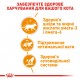 Вологий корм для дорослих  котів ROYAL CANIN INTENSE BEAUTY IN JELLY 0.085 кг