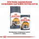 Вологий корм для дорослих  котів ROYAL CANIN INTENSE BEAUTY IN JELLY 0.085 кг