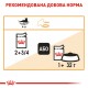 Вологий корм для дорослих  котів ROYAL CANIN INTENSE BEAUTY IN JELLY 0.085 кг