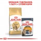 Корм для дорослих котів ROYAL CANIN BENGAL ADULT 2 кг