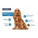 Advance Dog Medium Adult сухий корм для дорослих собак середніх порід, 3 кг Advance Dog Medium Adult сухий корм для дорослих собак середніх порід, 3 кг