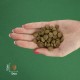 BRAVERY Salmon Adult Cat Sterilized сухий корм для дорослих стерилізованих котів, з лососем 2 кг