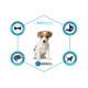 Advance Dog Mini Puppy сухий корм для цуценят маленьких порід з куркою 0,7 кг