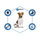 Advance Dog Mini Adult сухий корм для дорослих собак малих порід з куркою 7 кг