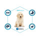 Advance Dog Maxi Puppy сухий корм для цуценят собак великих порід 12 кг Advance Dog Maxi Puppy сухий корм для цуценят собак великих порід 12 кг