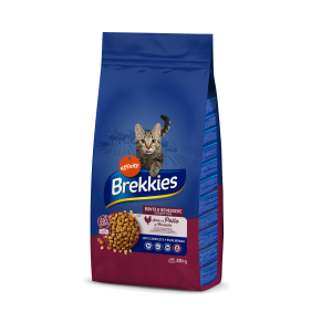Brekkies Cat Urinary Care для дорослих котів з профілактикою сечокам'яної хвороби з куркою 20 кг Brekkies Cat Urinary Care для дорослих котів з профілактикою сечокам'яної хвороби з куркою 20 кг