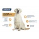 Advance Dog Labrador & Golden Retriever для Лабрадорів та Голден ретріверів з куркою 11,5 кг Advance Dog Labrador & Golden Retriever для Лабрадорів та Голден ретріверів з куркою 11,5 кг