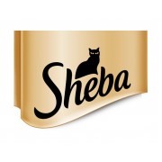 Sheba