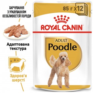 Вологий корм для дорослих собак ROYAL CANIN POODLE ADULT 0.085 кг Вологий корм для дорослих собак ROYAL CANIN POODLE ADULT 0.085 кг
